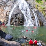 Dudhsagar Waterfall Trip