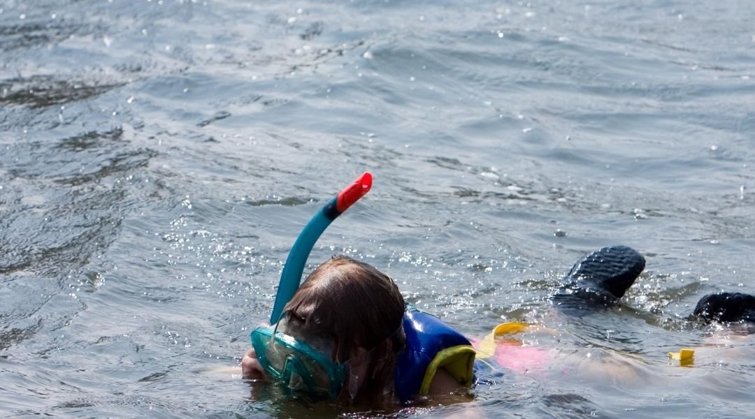 snorkeling in goa