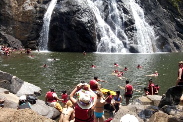 Dudhsagar Waterfall trip in Goa