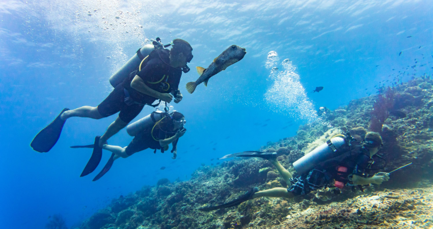 scuba diving in malvan