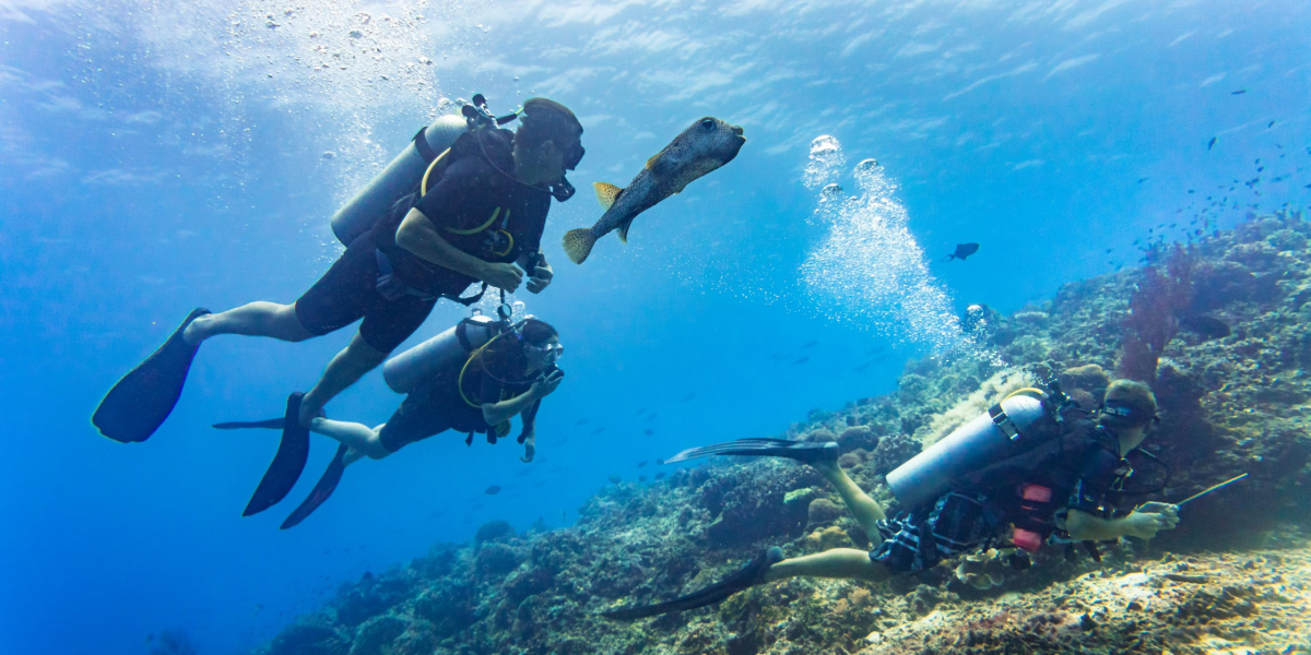 scuba diving in malvan