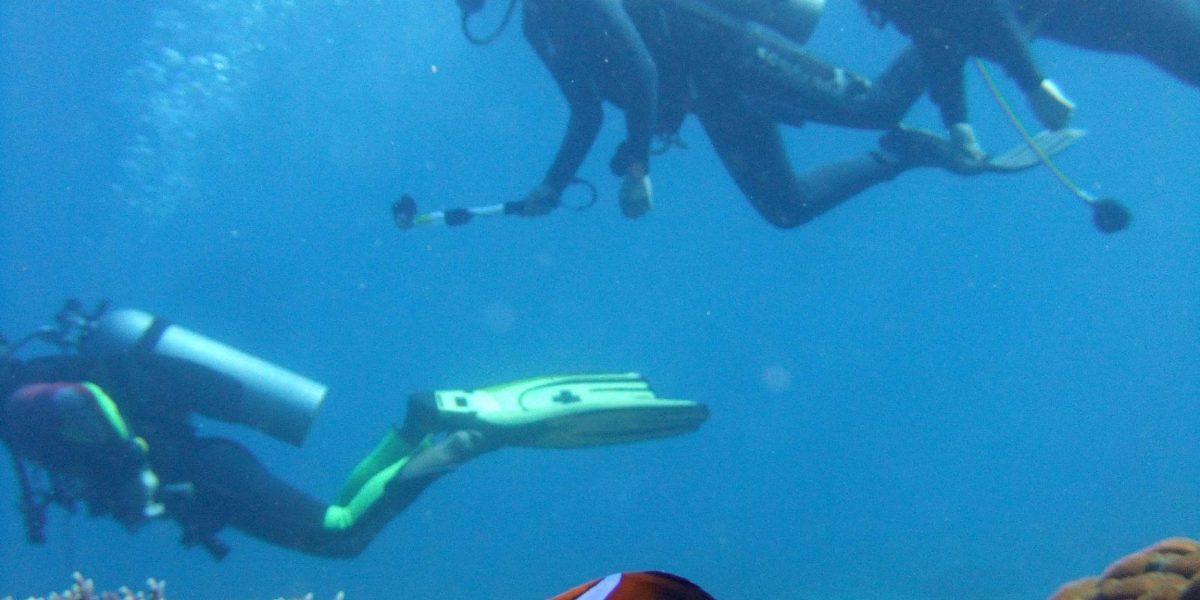 Scuba Diving at Paradise Beach, Shiroda