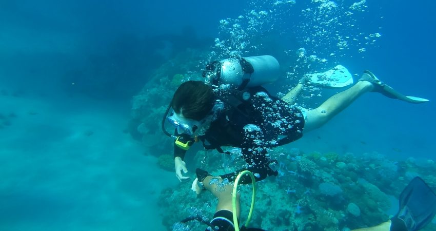 Scuba Diving at Paradise Beach
