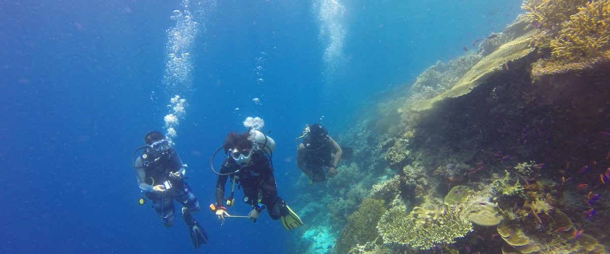 scuba diving at Tiracol Fort in Goa