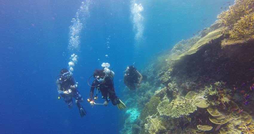 scuba diving at Tiracol Fort in Goa