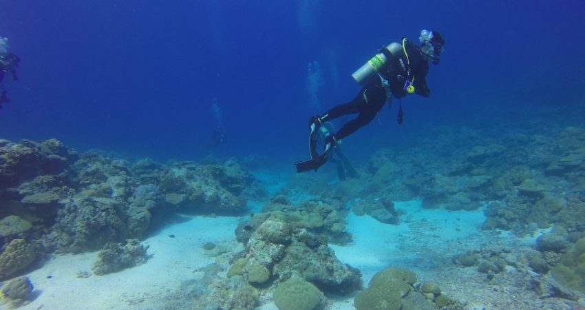 scuba diving at malvan