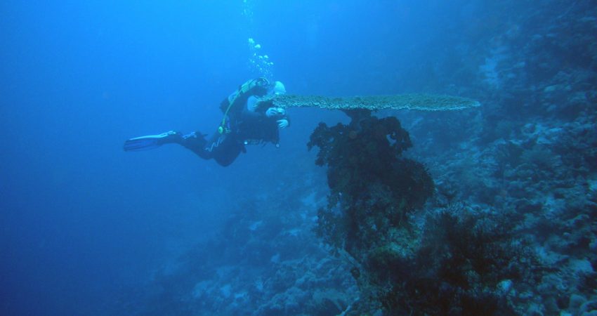 scuba diving at vasco, South Goa