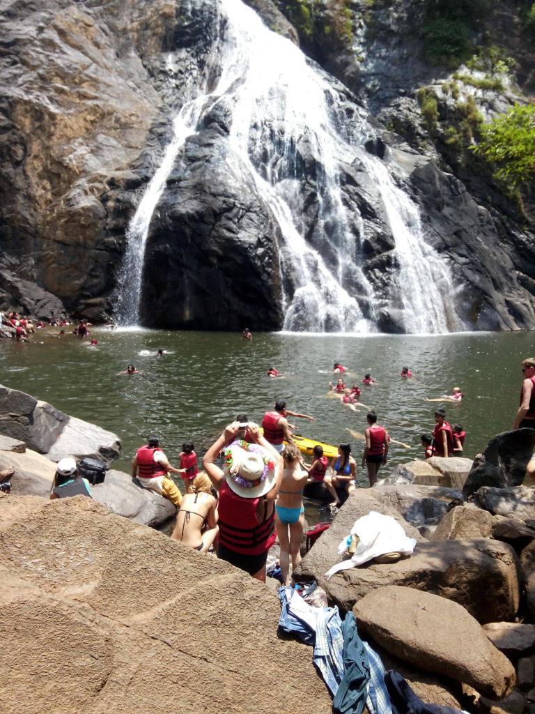 Dudhsagar Waterfall With Spice Plantation In Goa | Jeep Safari ...